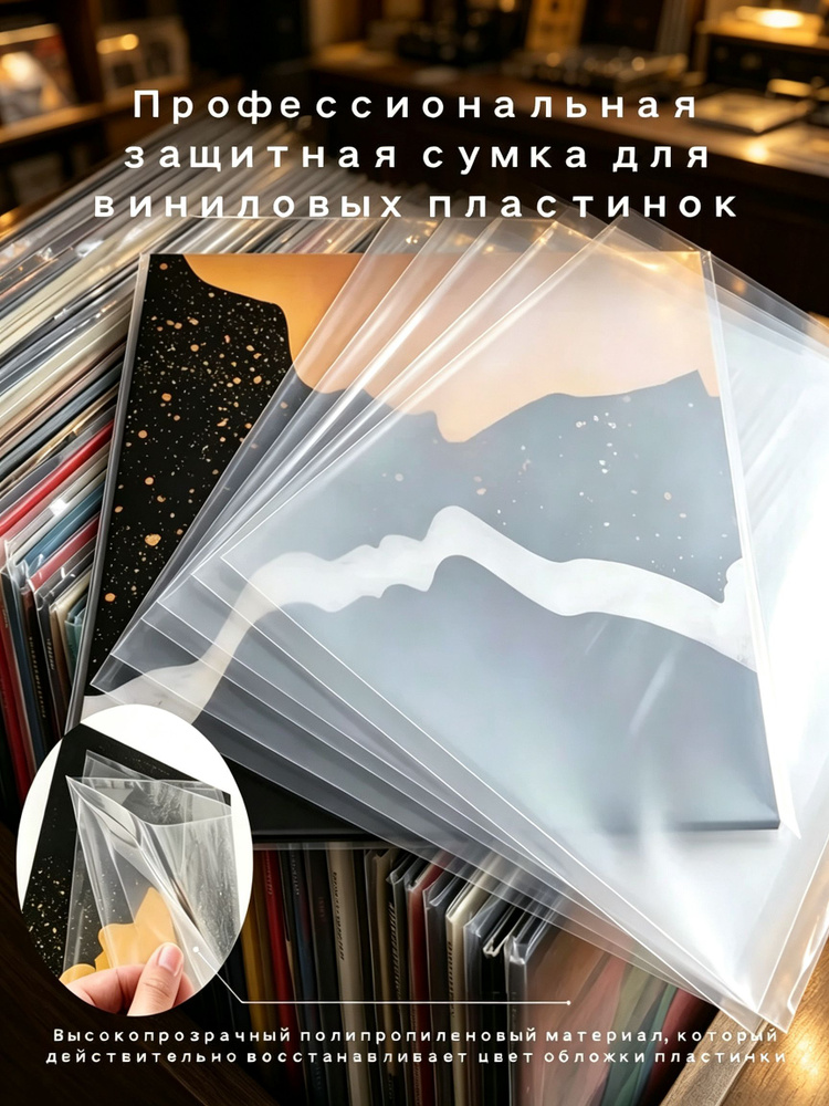 Эксклюзивный чехол с антистатической защитой для 12дюймовых виниловых пластинок 30,8 см #1