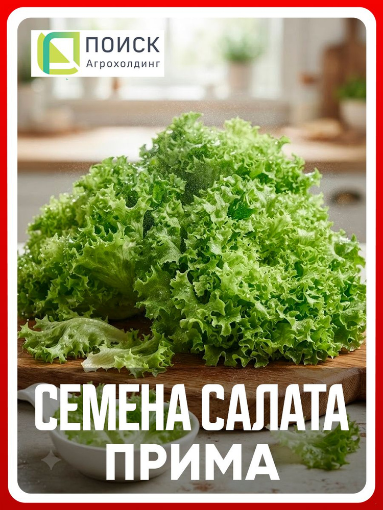 Семена Салат "Прима", 1 гр, зелень для дома, дачи и огорода, в открытый грунт, на подоконник, в контейнер. #1
