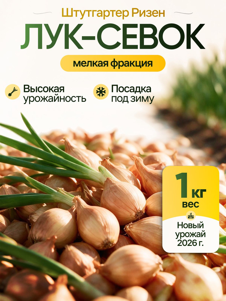 Луковицы 1 кг #1