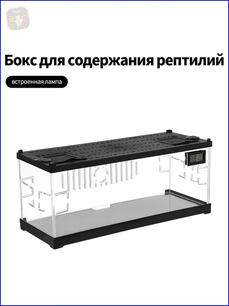 Террариум #1
