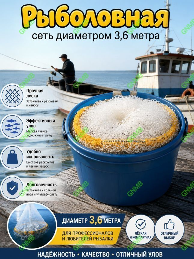 Фрисби #1