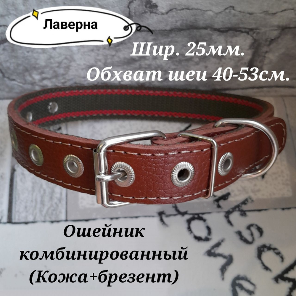 Ошейник для собак комбинированный кожа+брезент. Ширина 25мм. Обхват шеи 40-53см.  #1