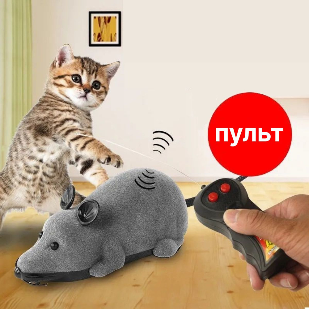 Игрушка для кошек дразнилка, умная мышка для кошки, автоматическая  интерактивная мышь - купить с доставкой по выгодным ценам в  интернет-магазине OZON (1421115792)