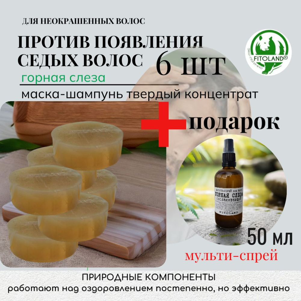 Мастерская Fitoland Organic Шампунь для волос