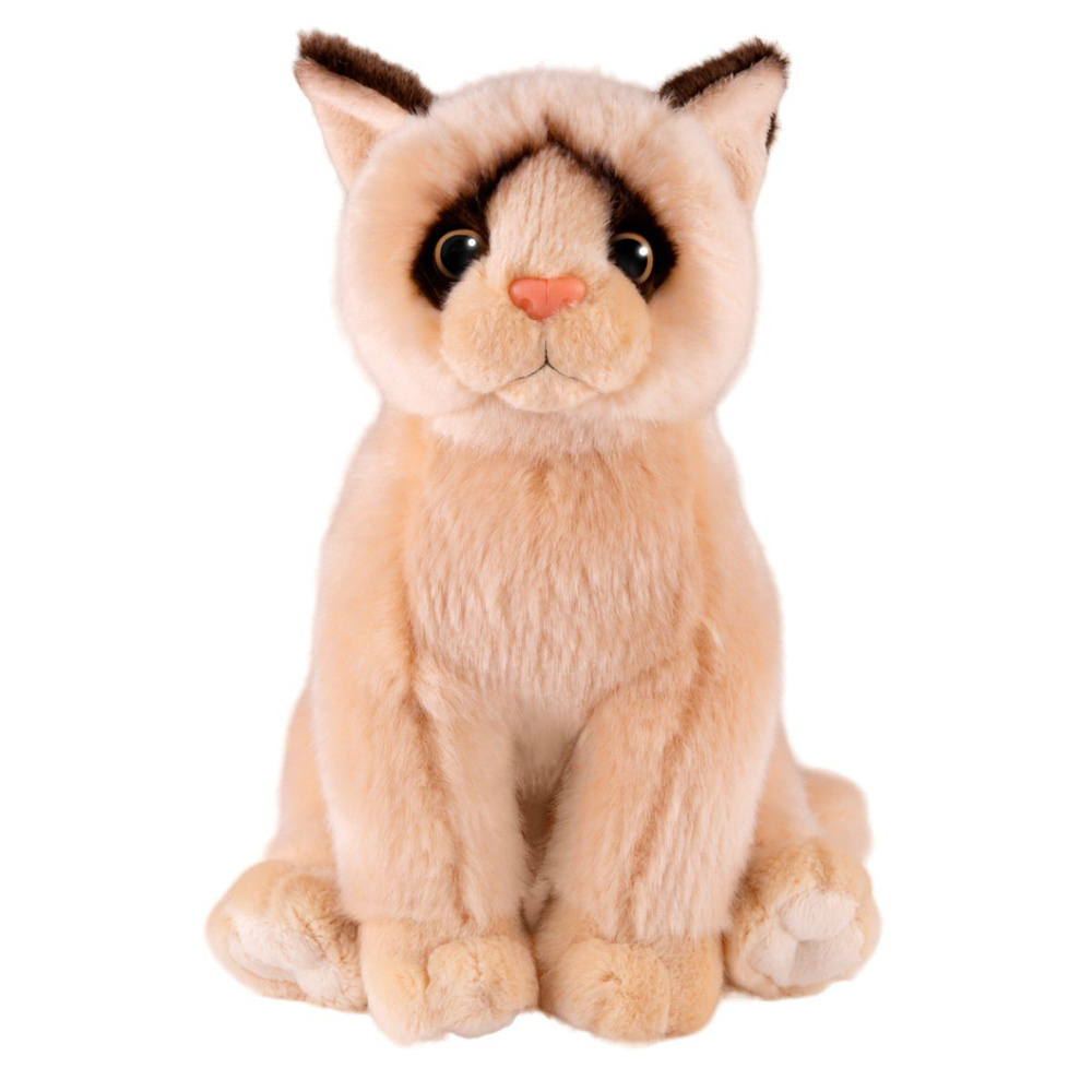 Мягкая Игрушка MAXITOYS Сиамская Кошечка 25 см - купить с доставкой по ...