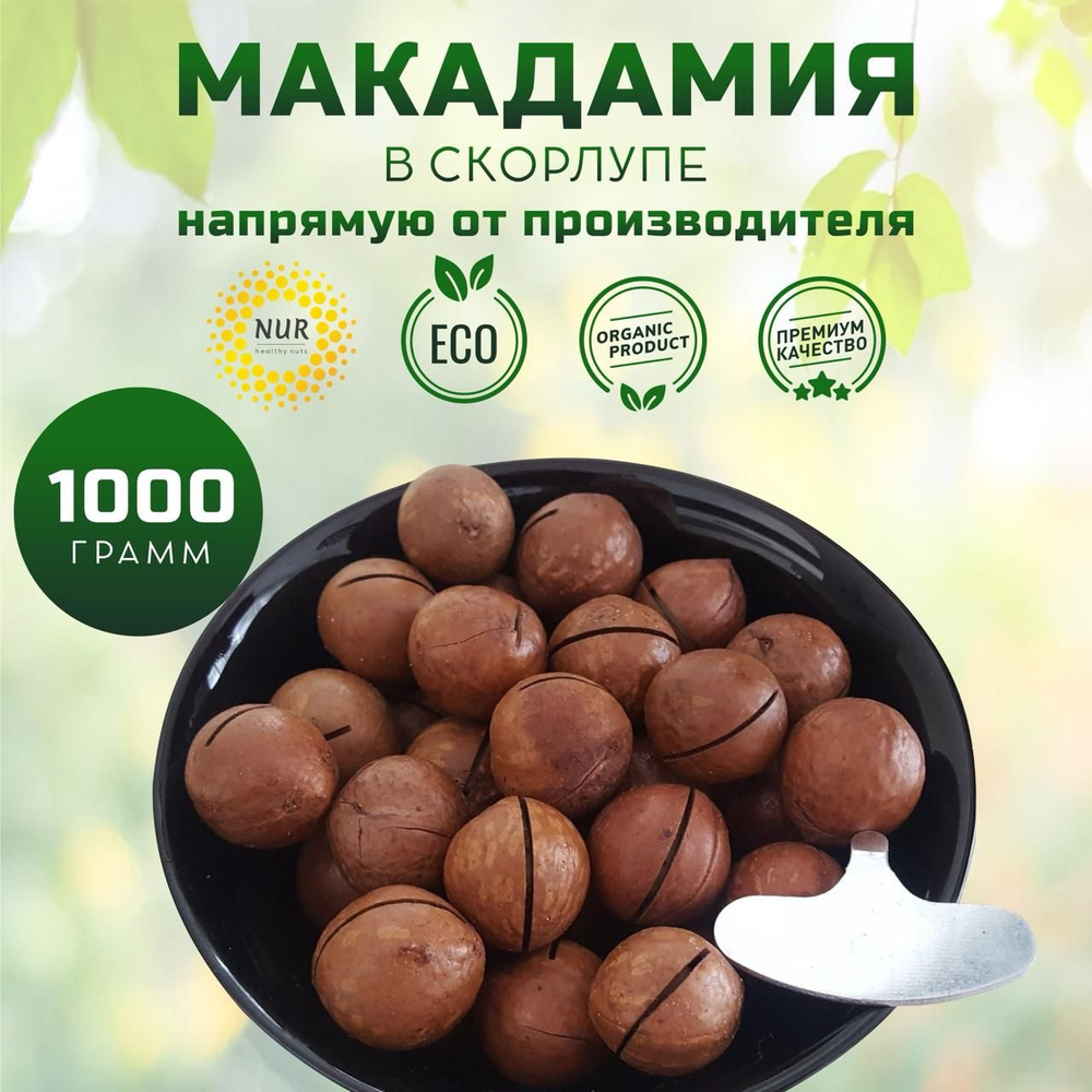 Макадамия в скорлупе 3А неочищенная Новый урожай Premium #1