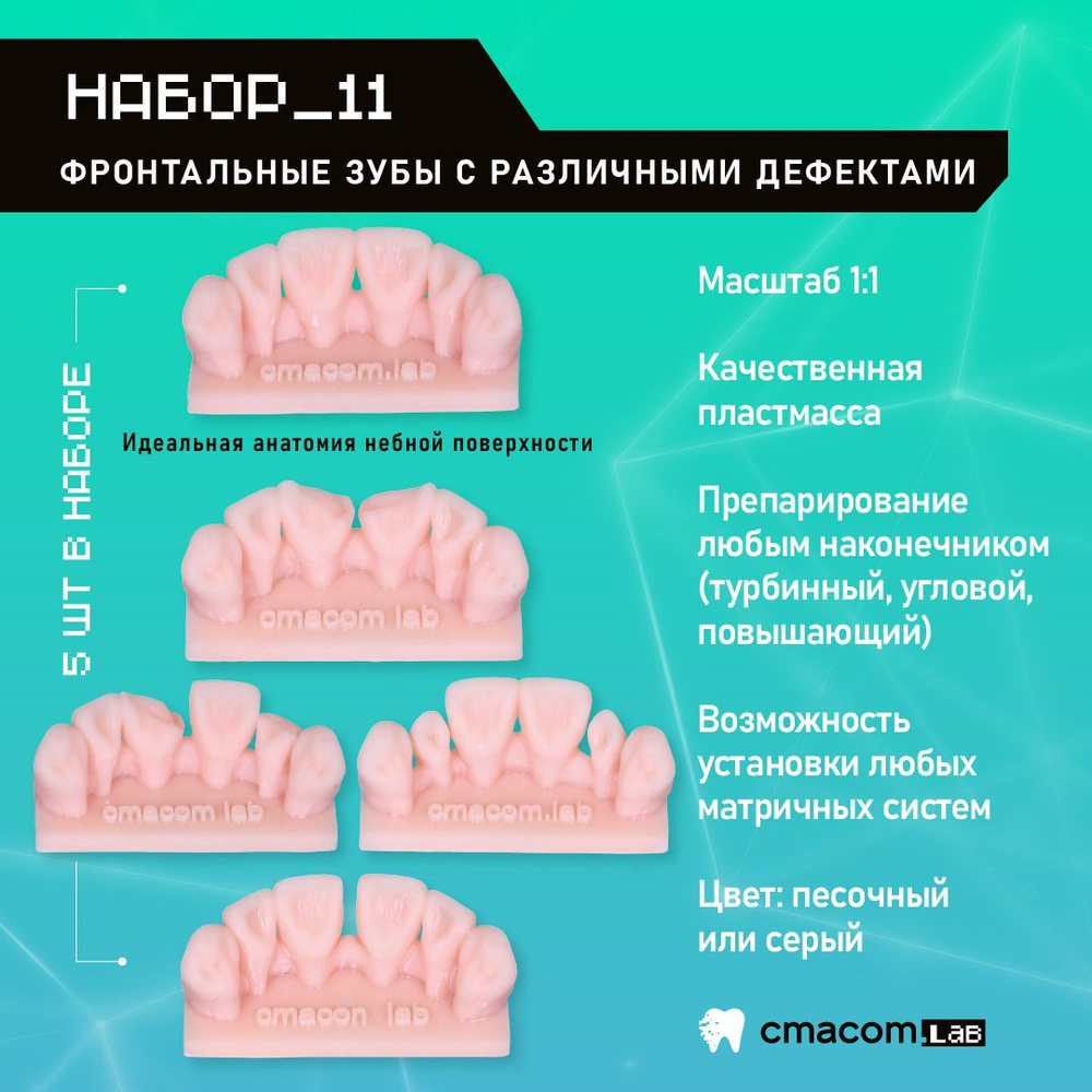 Набор#11 Модели для реставрации фронтальных зубов/5 штук/тренировочные ...