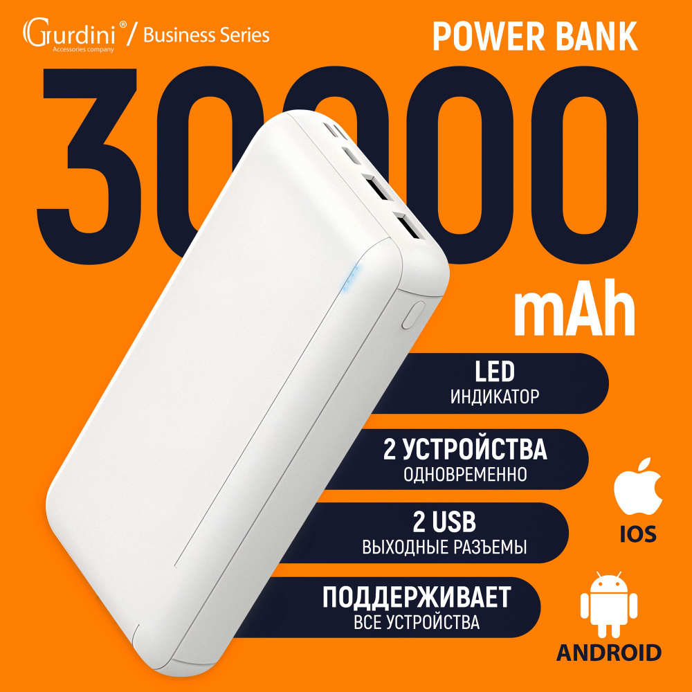 Внешний аккумулятор (Power Bank) Gurdini Business Series 30000mAh_1 -  купить по выгодным ценам в интернет-магазине OZON (224666353)