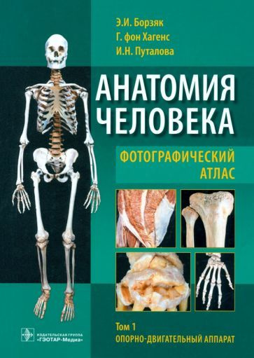 Борзяк, Гунтер, Путалова: Анатомия человека. Фотографический атлас ...