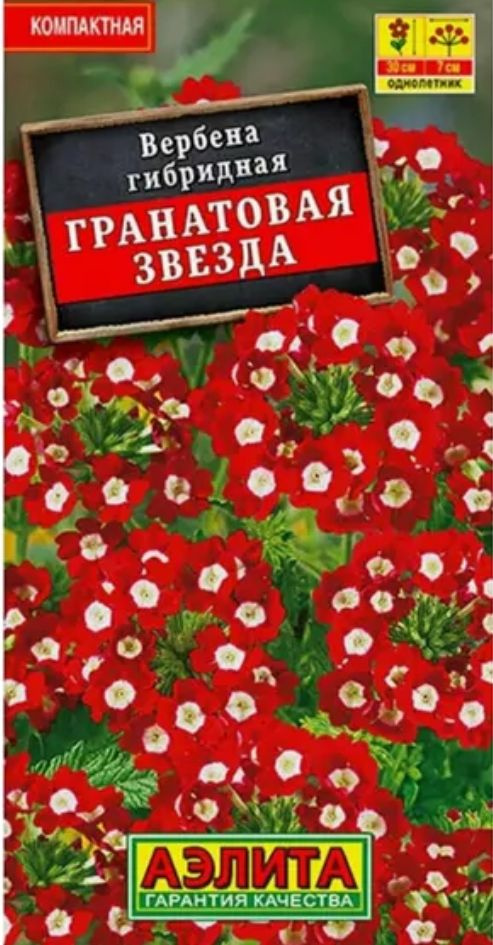 Семена Вербена Гранатовая звезда (40 семян) - Агрофирма Аэлита  #1