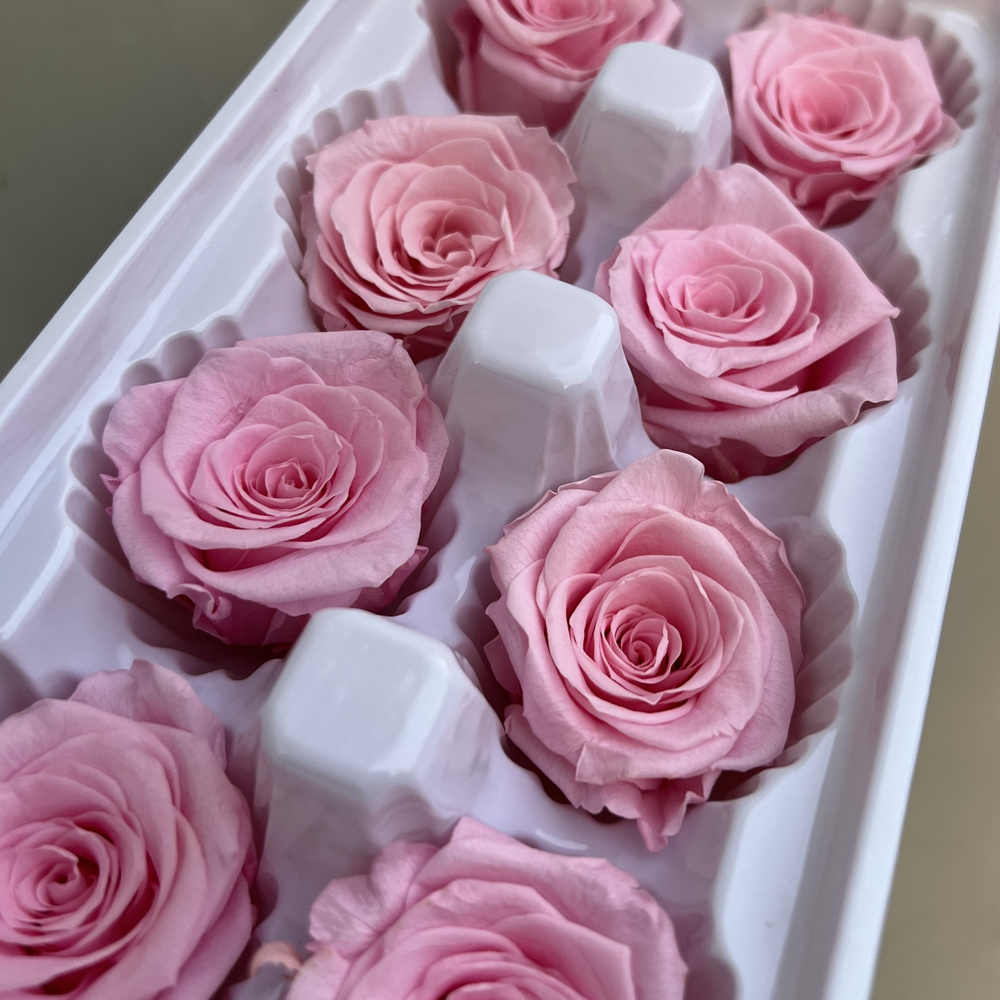 ROZASHOP Стабилизированные цветы Роза, 4 см, 250 гр, 8 шт #1