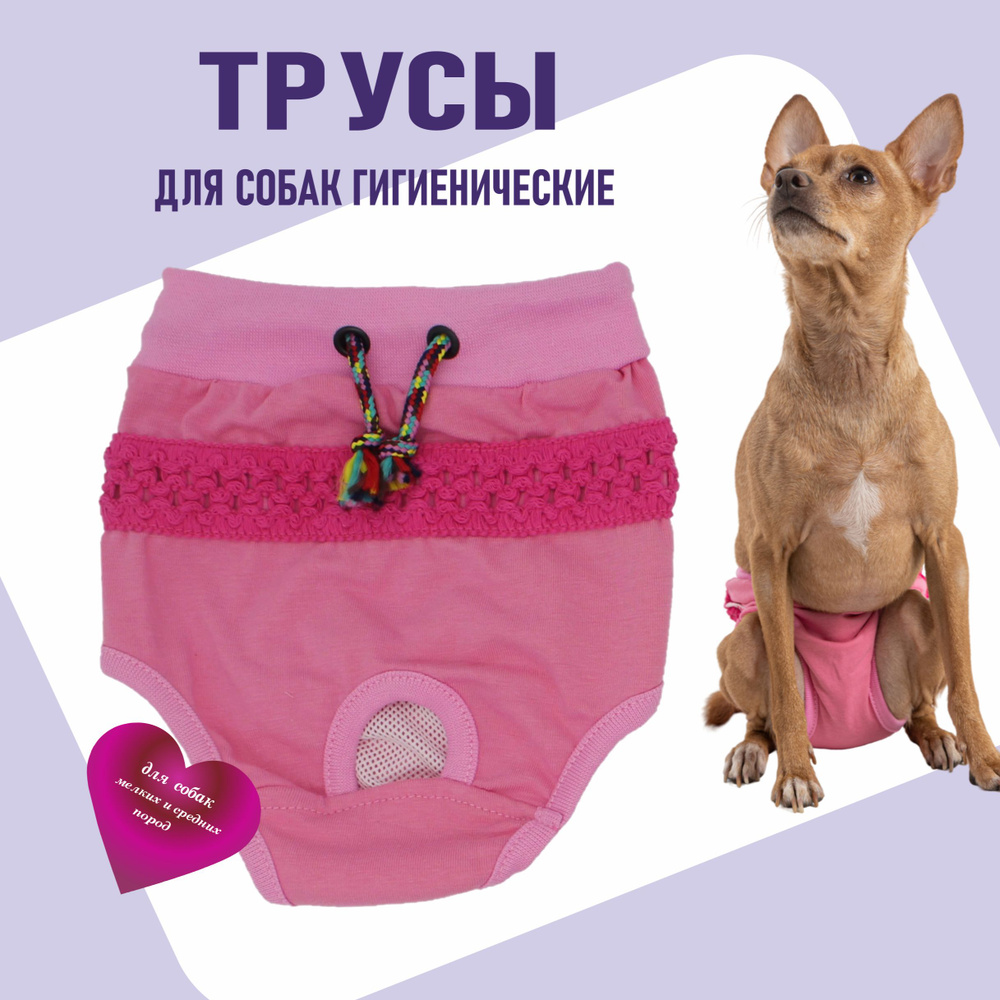 Трусы для собак во время течки, Розовые с полосой, размер XS (0), Family Pet.  #1