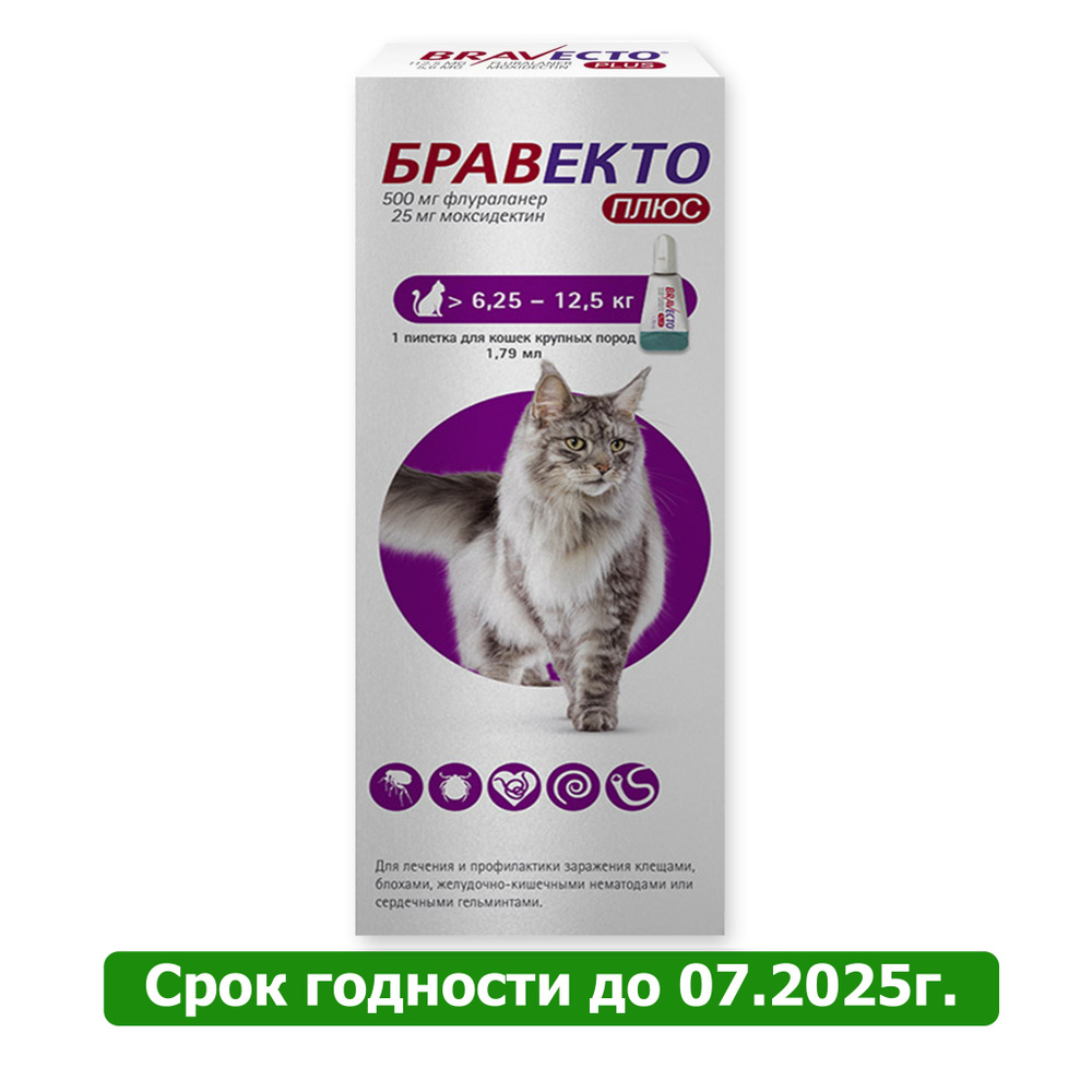 Бравекто капли для кошек весом от 6,25 до 12,5 кг против внутренних и  внешних паразитов (1 пипетка) - купить с доставкой по выгодным ценам в  интернет-магазине OZON (1468044907)