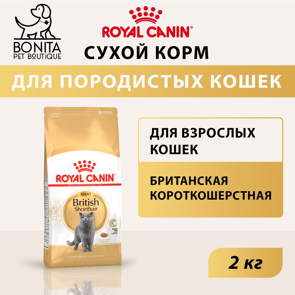 Сухой корм Royal Canin British Shorthair Adult для взрослых кошек британской короткошерстной породы, #1