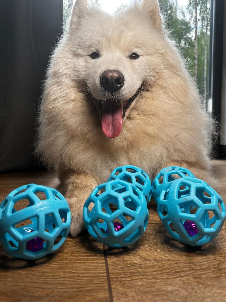 Мячик-погремушка для собак. Прочный прыгучий мяч с бубенчиком внутри ...