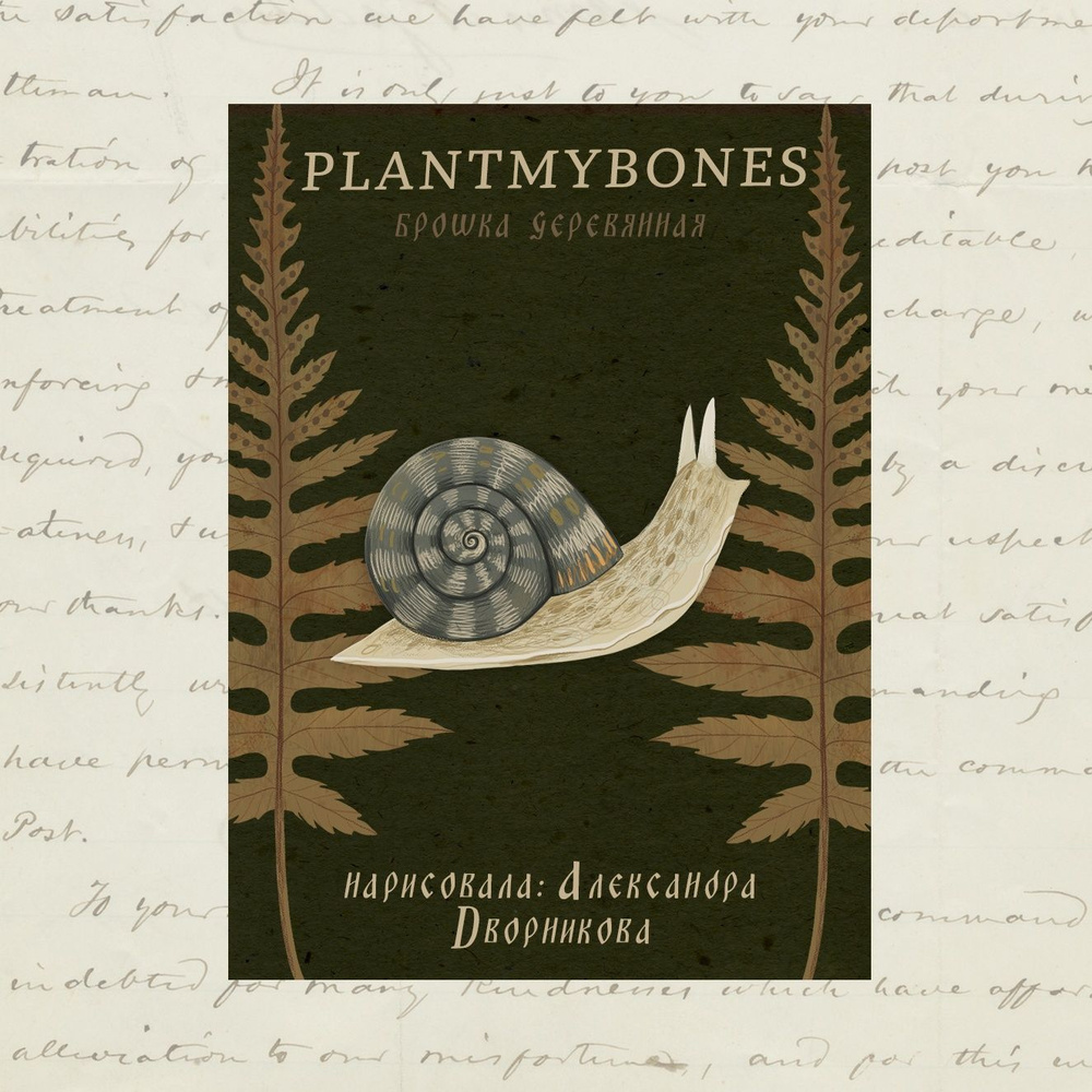 Деревянная брошь PlantMyBones, значок из дерева на замке-булавке: Серая улитка  #1