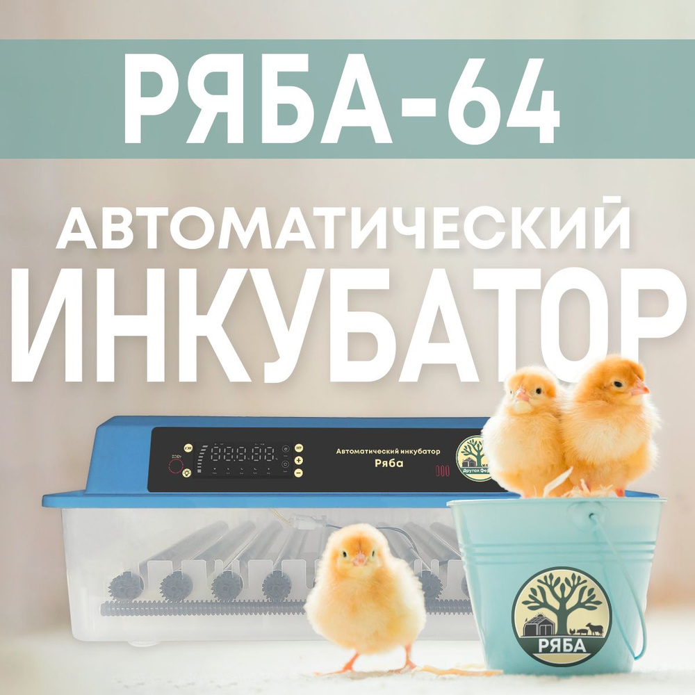 Инкубатор для яиц автоматический Р64 с терморегулятором, гигрометром,  овоскопом, автоповоротом на 64 куриных, 108 перепелиных, 45  утиных/индюшиных, 30 гусиных яиц 220/12V - купить с доставкой по выгодным  ценам в интернет-магазине OZON (1076600990)