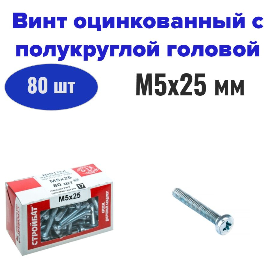 Винт оцинкованный с полукруглой головой М5x25 мм (80 шт) #1