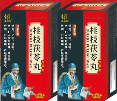 Пилюли "Гуй Чжи Фу Лин Вань"(Gui Zhi Fu Ling Wan) 4 г x 15 пакетиков ...