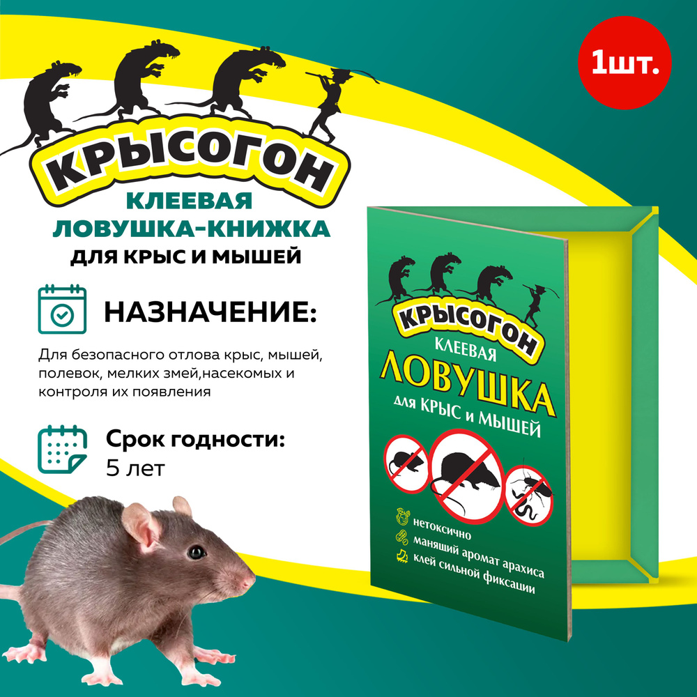 Как избавиться от крыс в курятнике: работающие способы