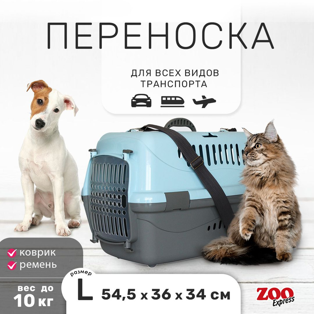 Клиппер-переноска для кошек и собак ZOOexpress Турне 54,5х36х34 см (L), с прозрачной дверцей, КОВРИК #1