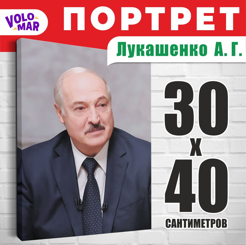 VoloMar Картина "Лукашенко", 40  х 30 см #1