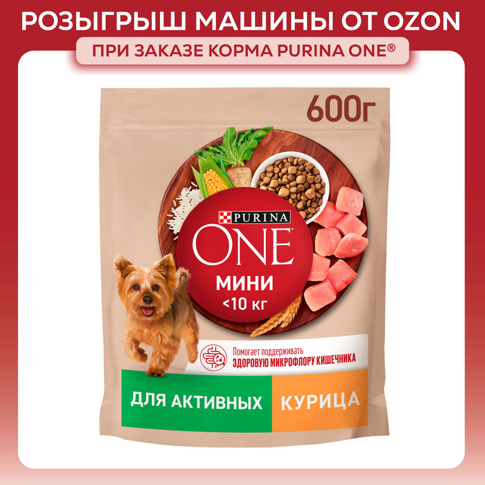 Сухой корм для собак Purina ONE МИНИ для мелких и карликовых пород при активном образе жизни, с курицей #1