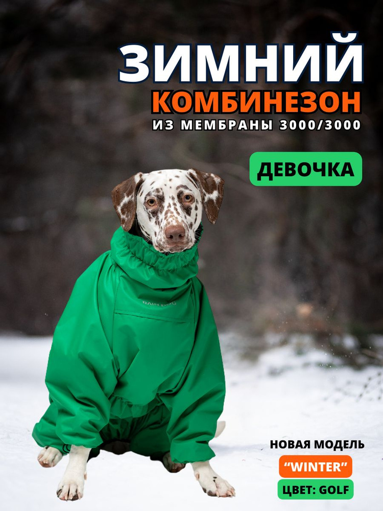 Зимний комбинезон для собак "Winter", 55/4XL, женский, golf #1