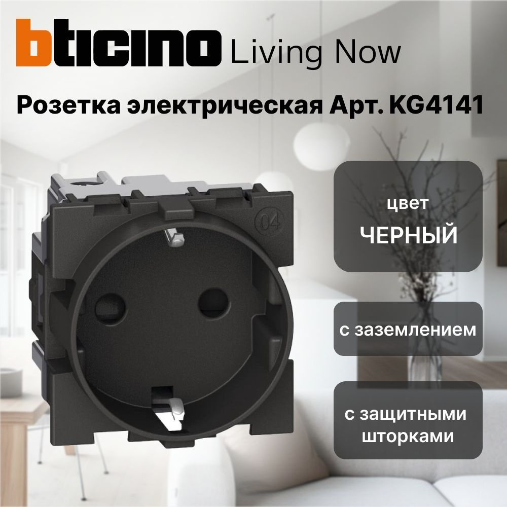 1 шт. BT Living now Черный Розетка немецкого стандарта 2К+З 16А винт клеммы 2 модульная, KG4141  #1