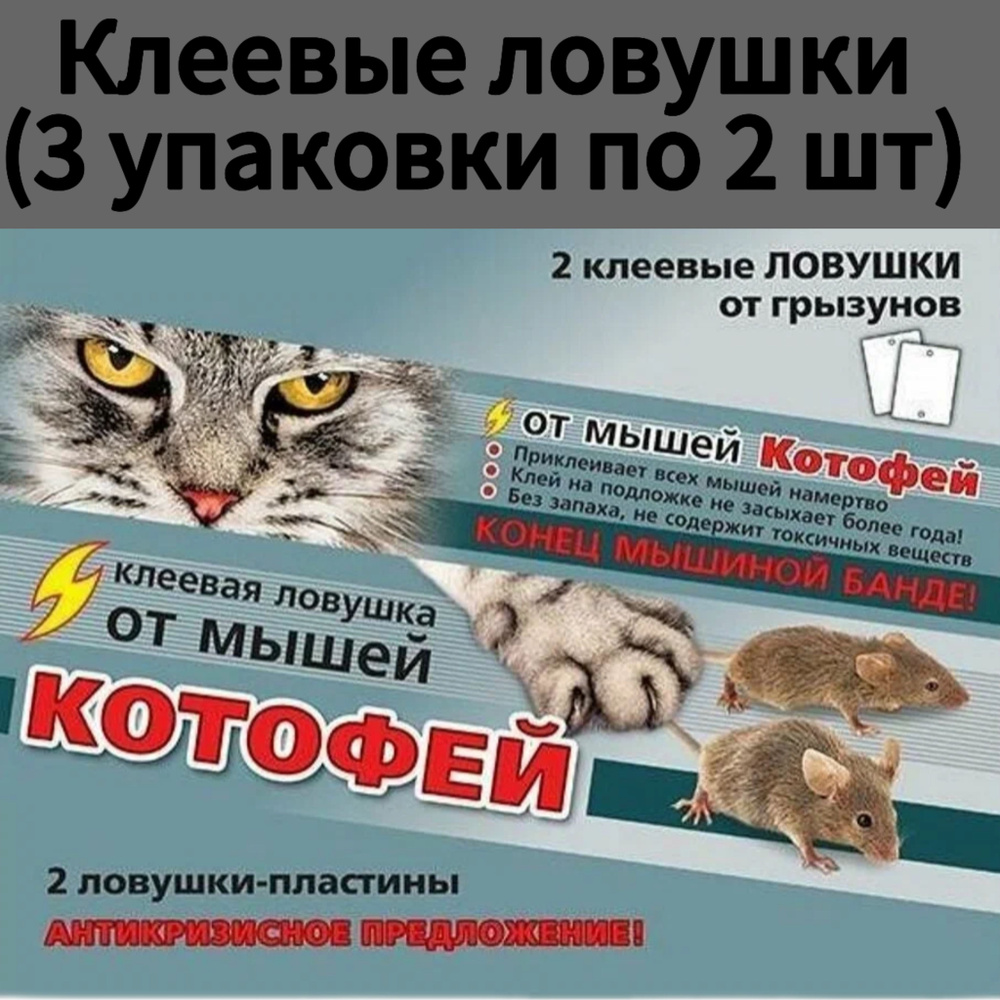 Мышеловка клеевая 6 штук, крысоловка и кротоловка. Ловушка для грызунов.  #1