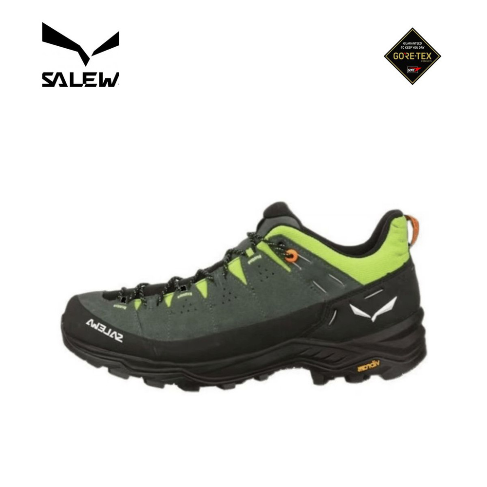 Кроссовки Salewa ALP TRAINER 2GTX #1