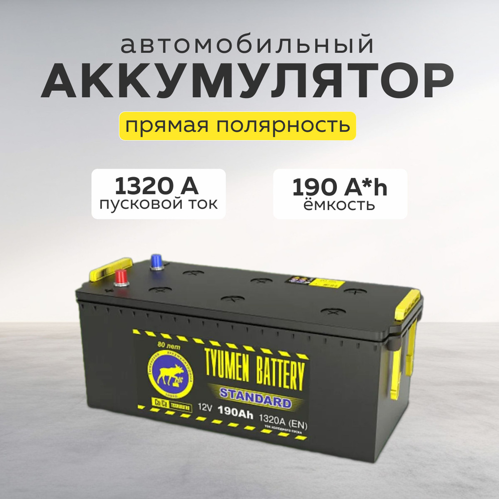 АКБ 190 Тюмень STANDARD евро полярность
