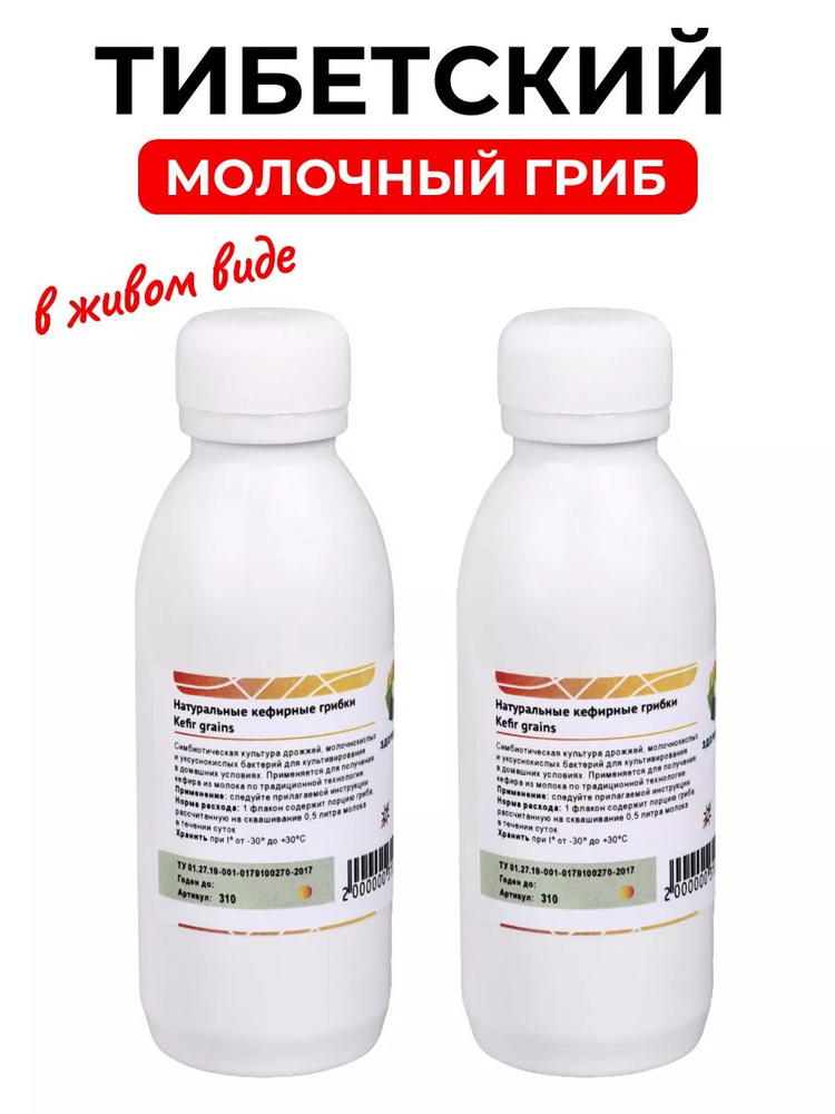 Тибетский молочный гриб, кефирный грибок в живом виде - 2 шт. #1