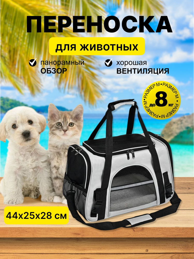 Переноска #1