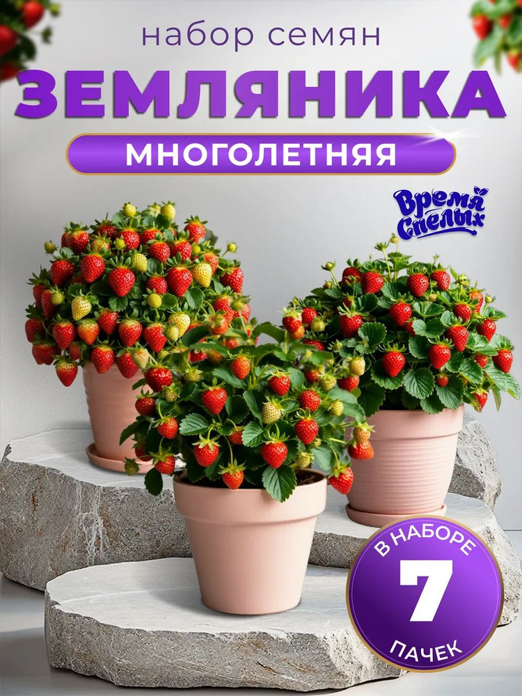 Земляника семена, 7 пачек #1