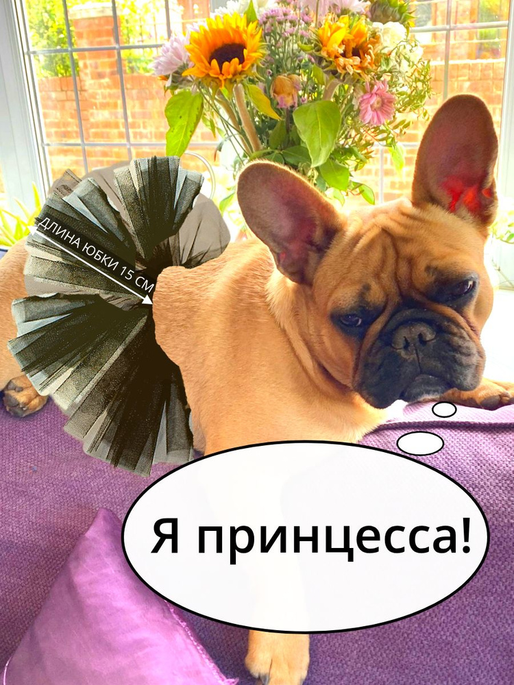 Одежда для животных #1