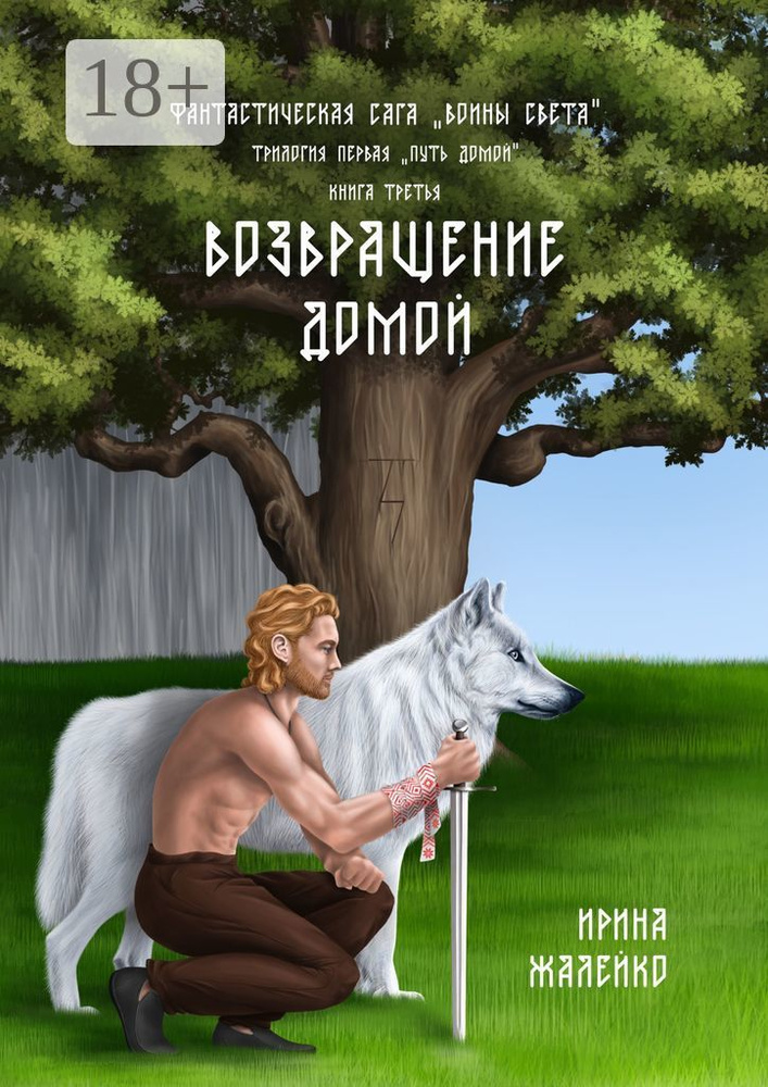 Возвращение домой. Книга третья. Фантастическая сага Воины света. Трилогия первая Путь домой #1