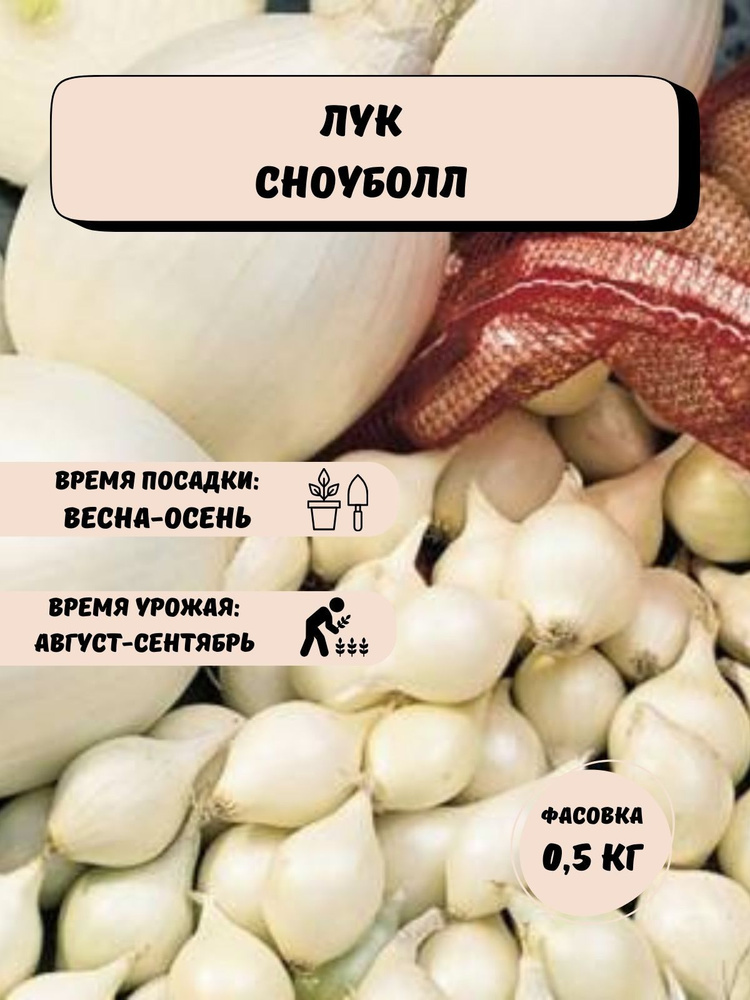 Лук репчатый (белый) Сноуболл 0,5 кг на посадку #1