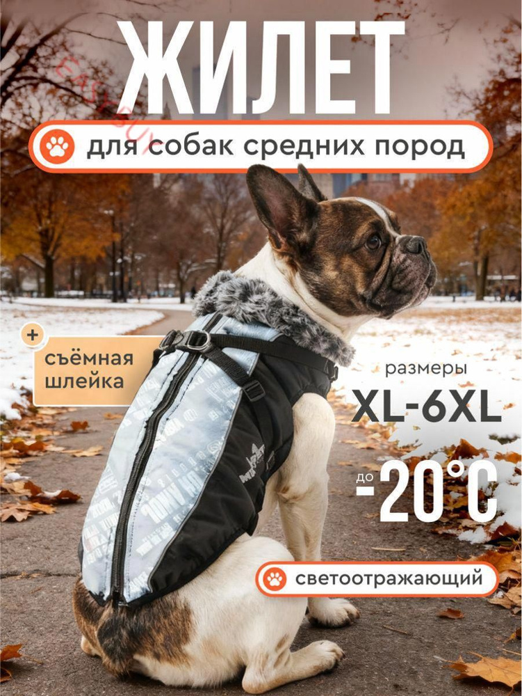Одежда для животных #1
