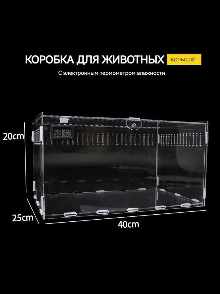 Террариум #1