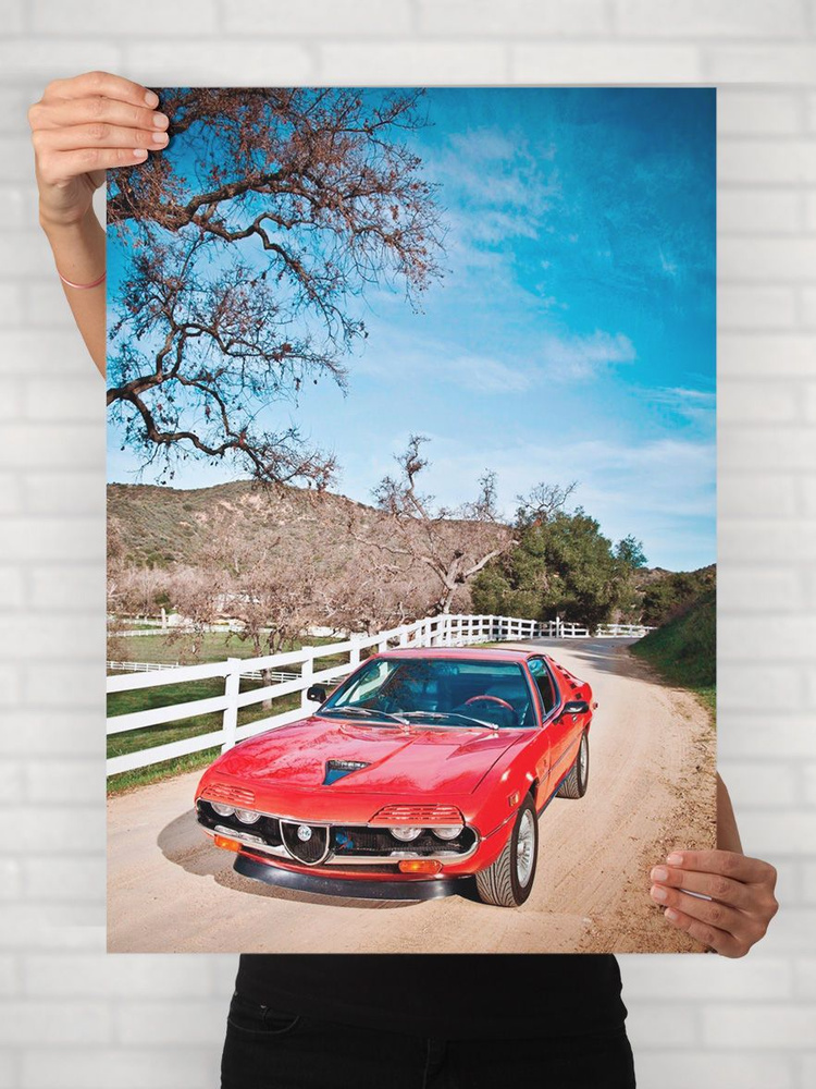 Плакат на стену для интерьера Легенды Авто (Альфа Ромео Монреаль - Alfa Romeo Montreal) - Постер по машине #1