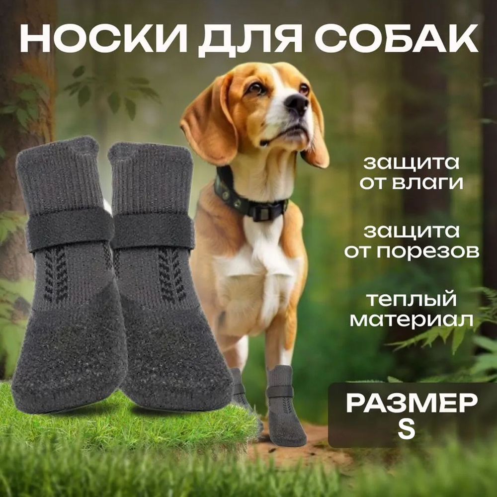 Обувь для собак #1