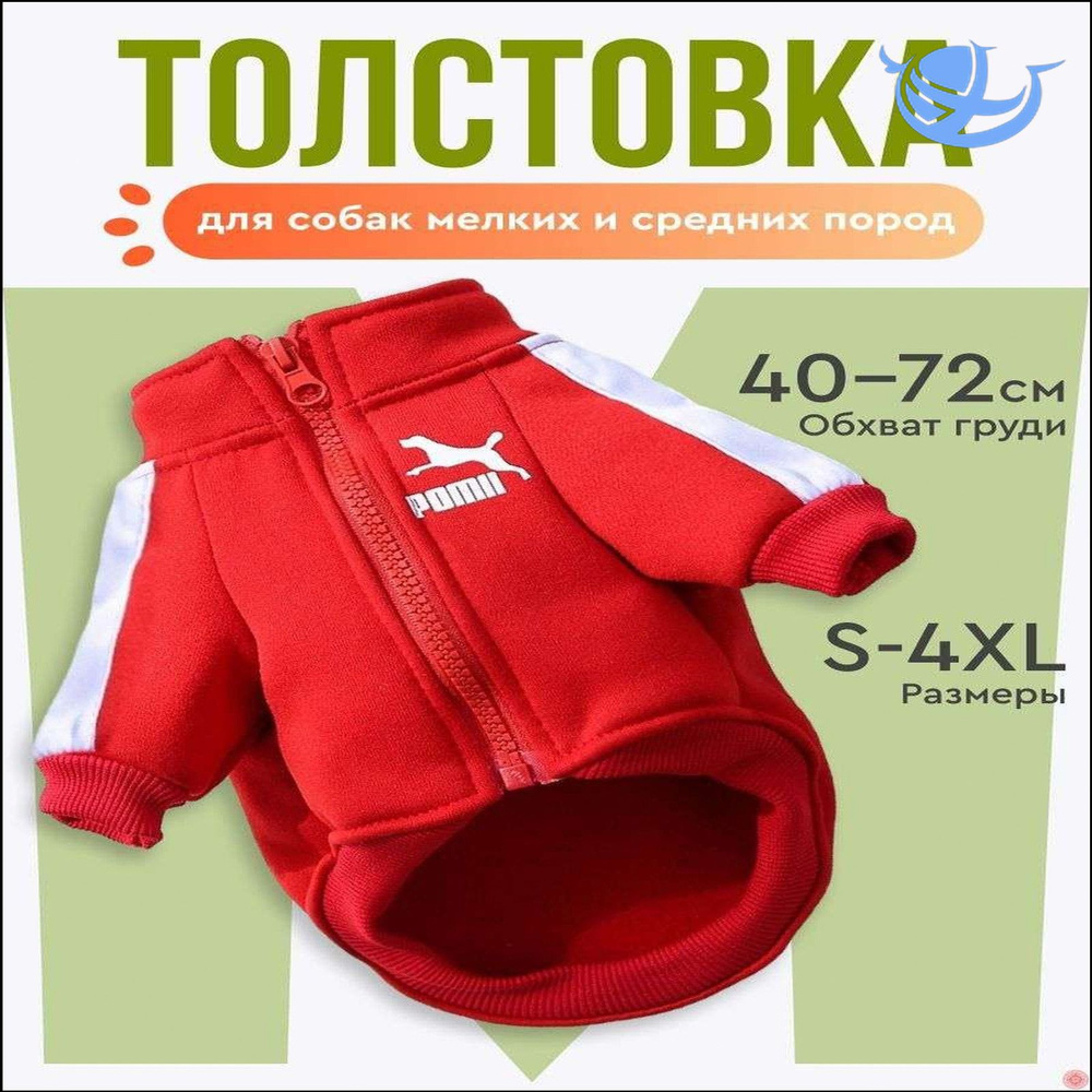 Одежда для животных #1