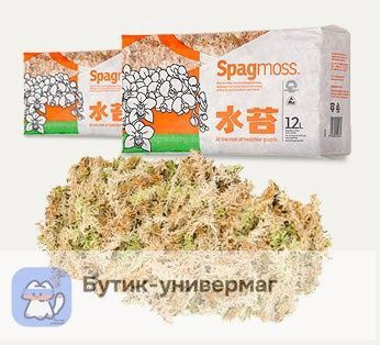Spagmoss Мох #1