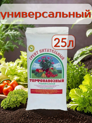 20 литров земли сколько кг