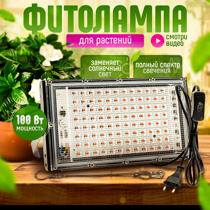 6919062012 6919062012