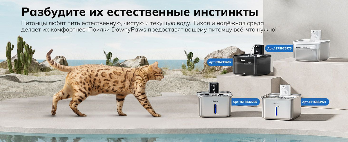 DownyPaws store