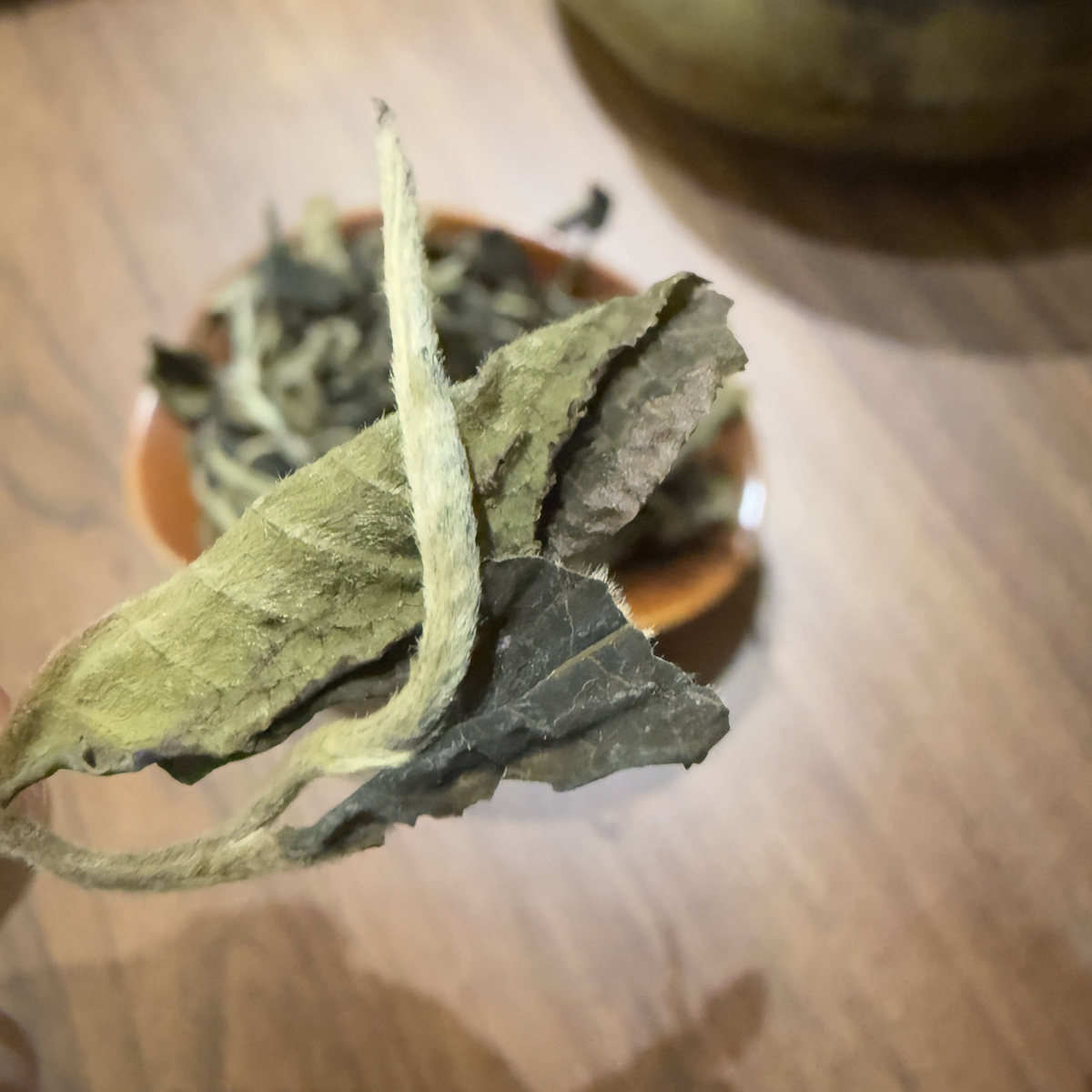 Китайский чай Белый чай Белый пион купить на OZON по низкой цене ...