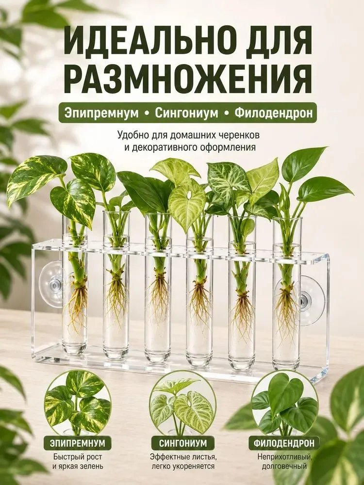 Гидропонная установка,От сети, вариант, фото 2