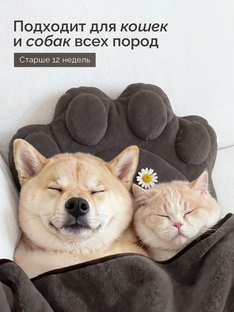 Шампунь для собак, кошек и котят ЛАПИ Лапика, для шерсти и кожи, с пантенолом и ромашкой, Белый чай, 400 мл, 400 мл, фото 5
